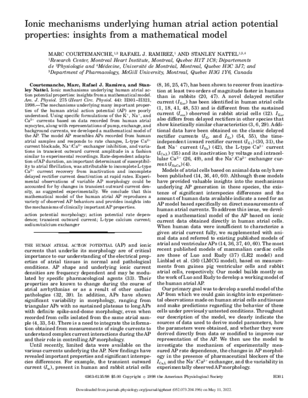 (PDF) Ionic mechanisms underlying human atrial action potential ...