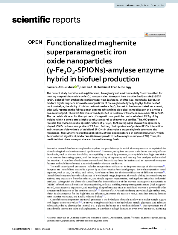 (PDF) Functionalized maghemite superparamagnetic iron oxide ...