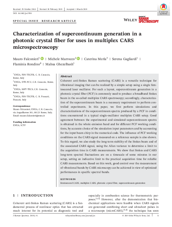 (PDF) Characterization of supercontinuum generation in a photonic ...
