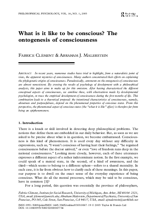 (PDF) What is it like to be conscious? The ontogenesis of consciousness