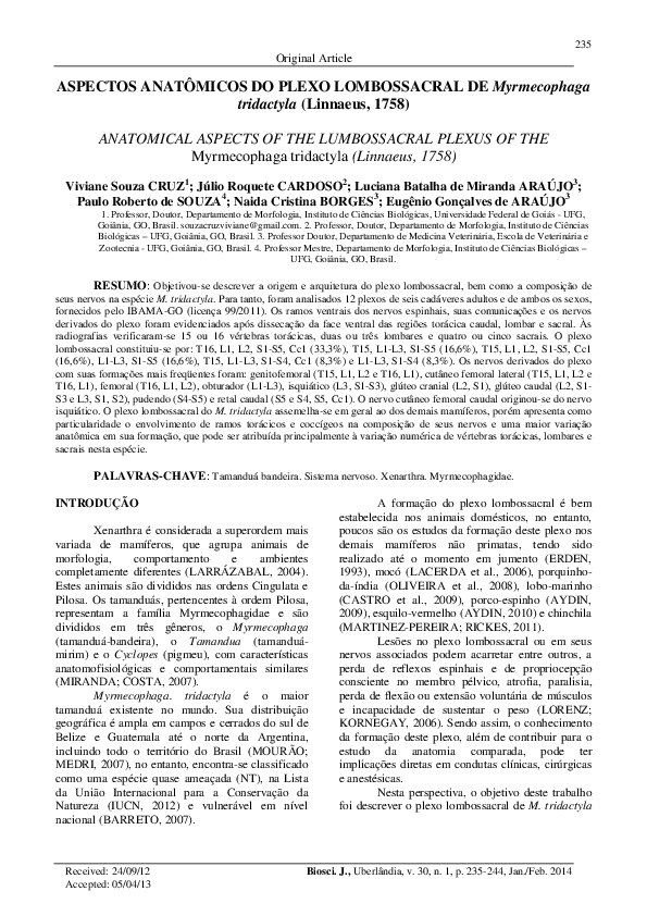 Aspectos anatômicos do plexo lombossacral de Myrmecophaga tridactyla (Linnaeus, 1758) = Anatomical aspects of the lumbossacral plexus of the Myrmecophaga tridactyla (Linnaeus, 1758)