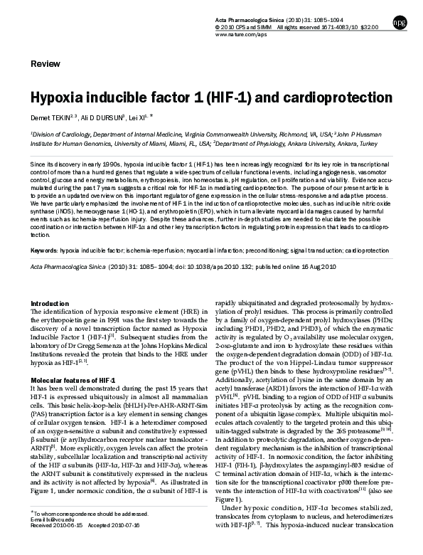 (PDF) Hypoxia inducible factor 1 (HIF-1) and cardioprotection