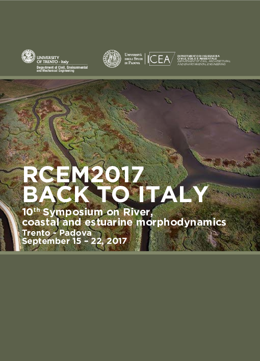 (PDF) SAR remote sensing of river morphodynamic on a monthly basis ...