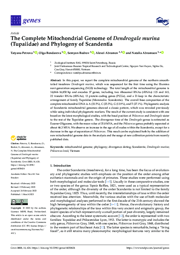 (PDF) The Complete Mitochondrial Genome of Dendrogale murina (Tupaiidae ...