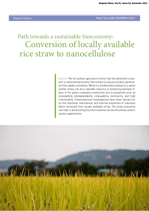 (PDF) Path towards a sustainable bioeconomy: Conversion of locally ...