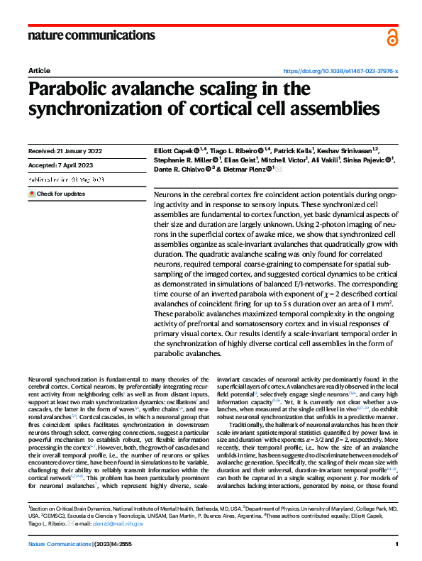 (PDF) Parabolic avalanche scaling in the synchronization of cortical ...