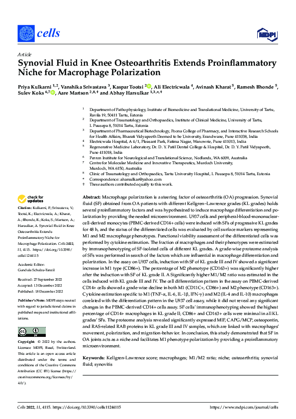(PDF) Synovial Fluid in Knee Osteoarthritis Extends Proinflammatory ...