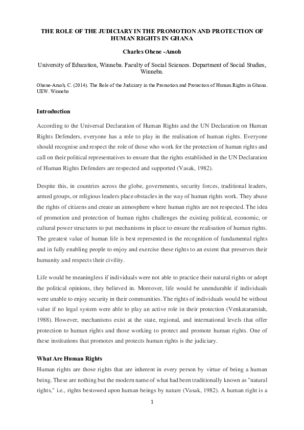 (PDF) THE ROLE OF THE JUDICIARY IN THE PROMOTION AND PROTECTION OF ...