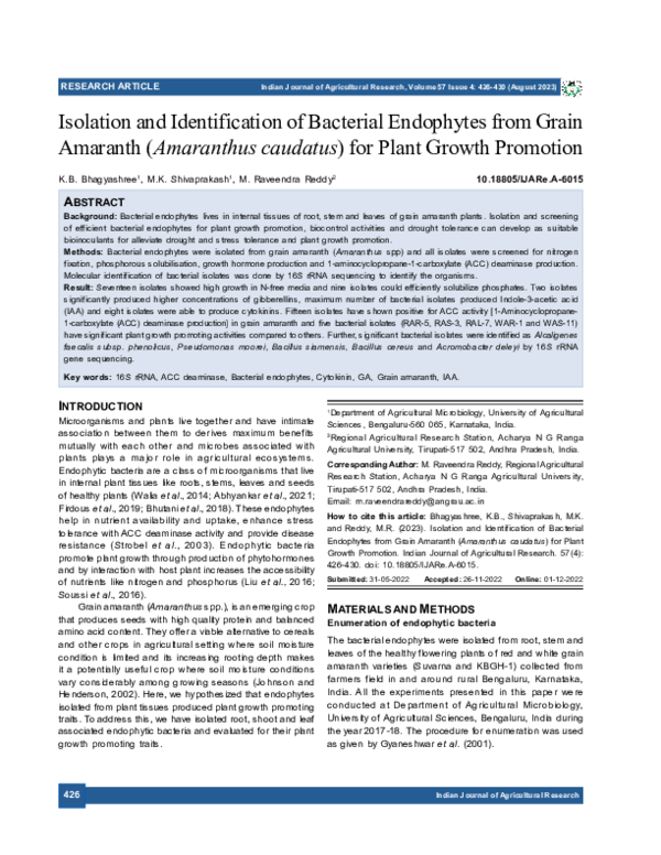 (PDF) Isolation and Identification of Bacterial Endophytes from Grain ...