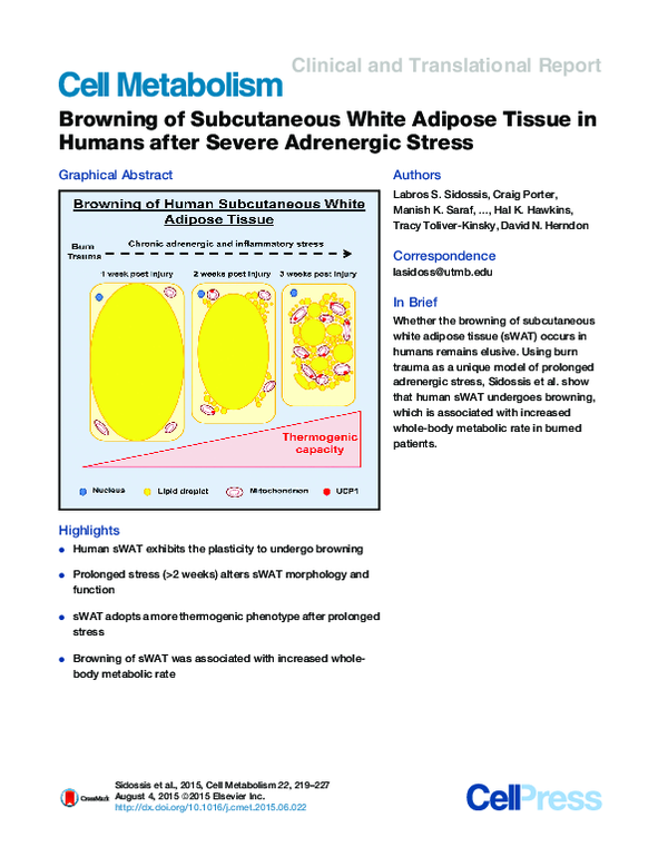 (PDF) Browning of Subcutaneous White Adipose Tissue in Humans after ...