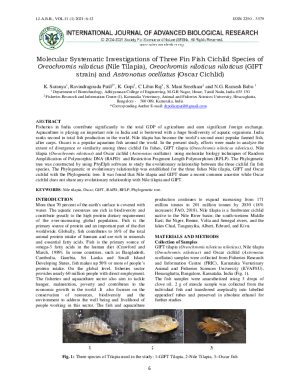 (PDF) Molecular Systematic Investigations of Three Fin Fish Cichlid ...