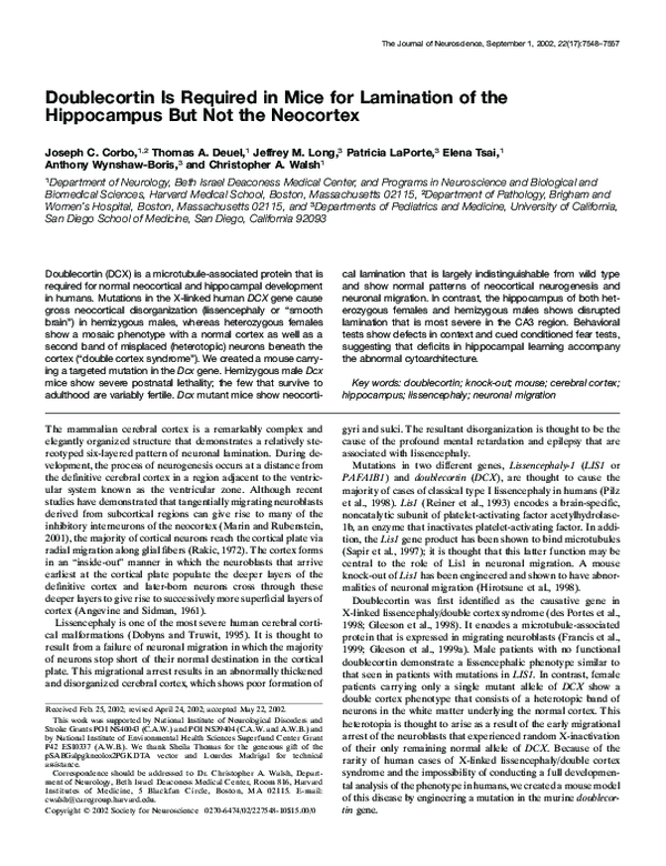 (PDF) Doublecortin Is Required in Mice for Lamination of the ...
