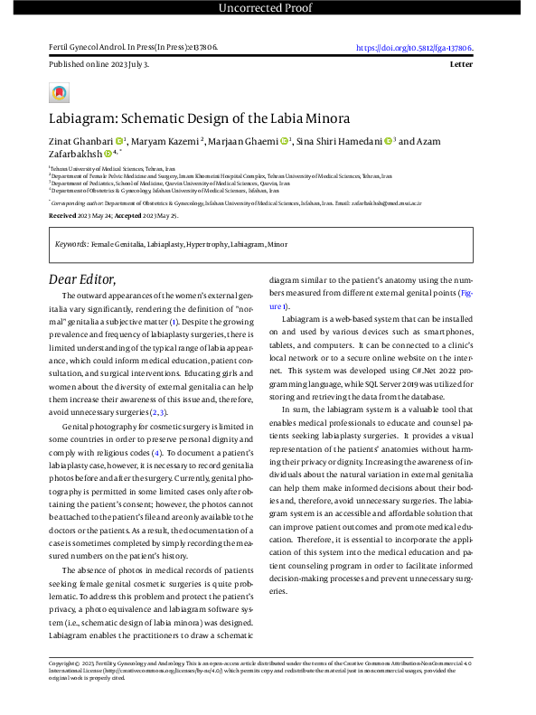 (PDF) Labiagram: Schematic Design of the Labia Minora