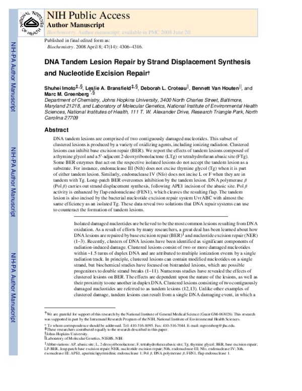 (PDF) DNA Tandem Lesion Repair by Strand Displacement Synthesis and ...