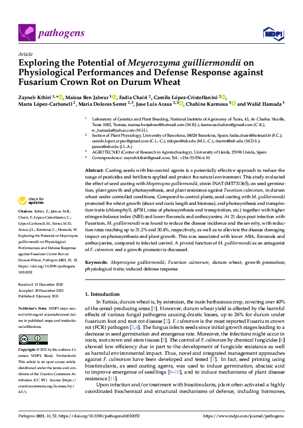 Exploring the Potential of Meyerozyma guilliermondii on Physiological Performances and Defense Response against Fusarium Crown Rot on Durum Wheat