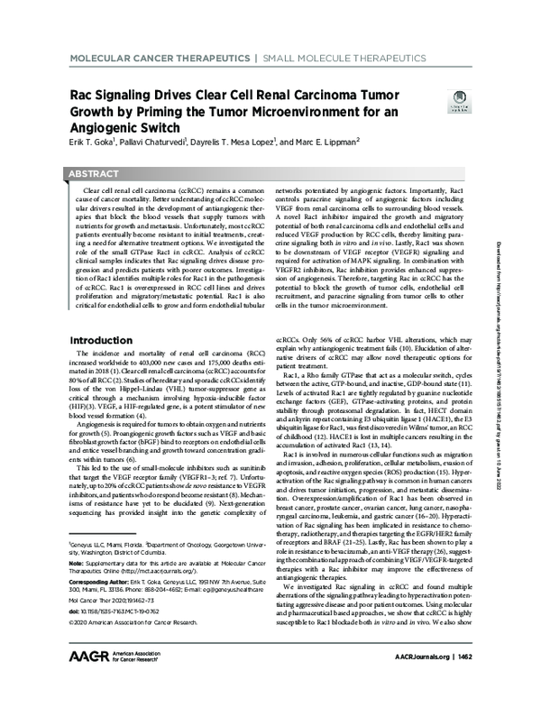 (PDF) Rac Signaling Drives Clear Cell Renal Carcinoma Tumor Growth by ...