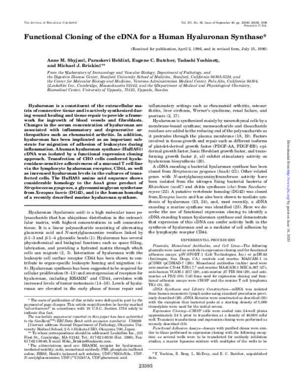 (PDF) Functional Cloning of the cDNA for a Human Hyaluronan Synthase