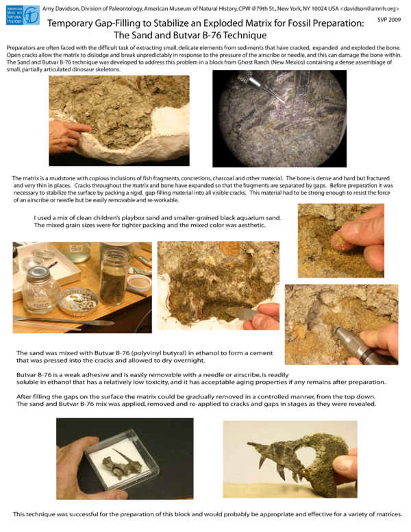 (PDF) TEMPORARY GAP-FILLING TO STABILIZE AN EXPLODED MATRIX FOR FOSSIL ...