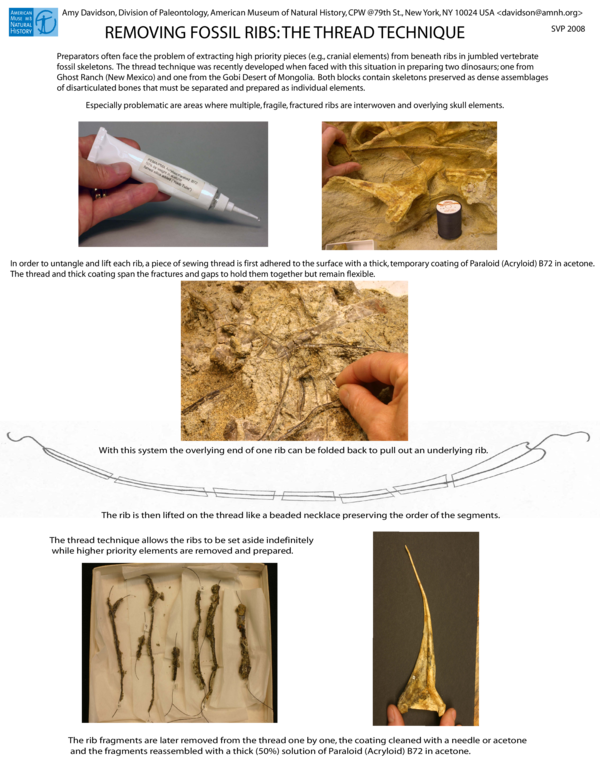 (PDF) REMOVING FOSSIL RIBS: THE THREAD TECHNIQUE