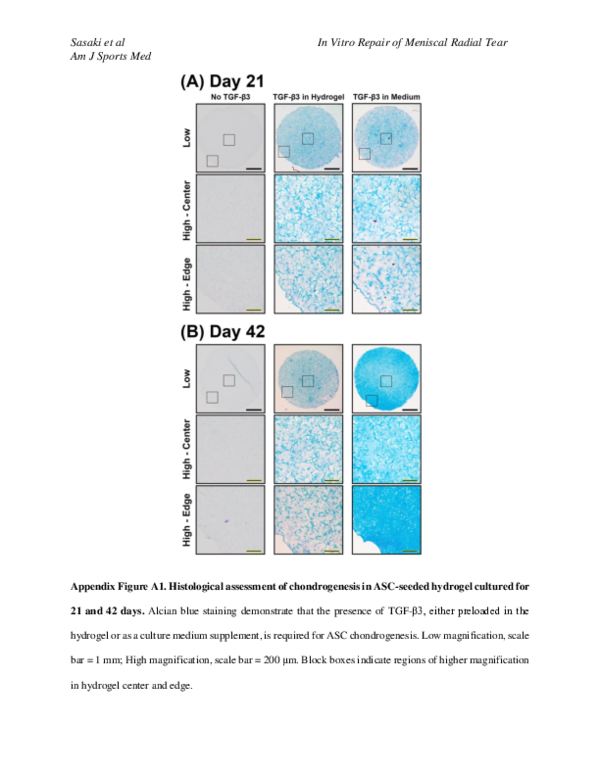 (PDF) DS_10.1177_0363546518782973 – Supplemental material for In Vitro ...