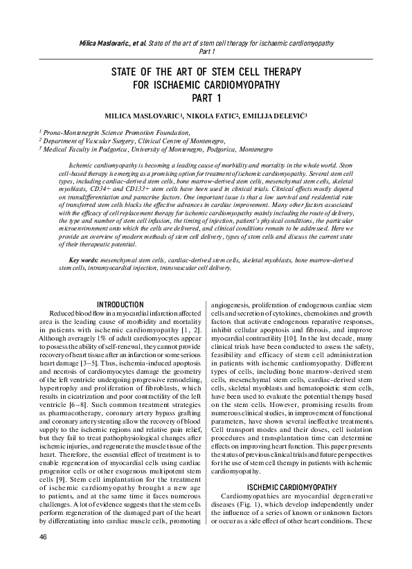 (PDF) State of the art of stem cell therapy for ischaemic ...
