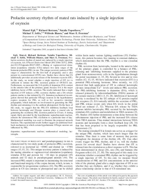 (PDF) Prolactin secretory rhythm of mated rats induced by a single ...