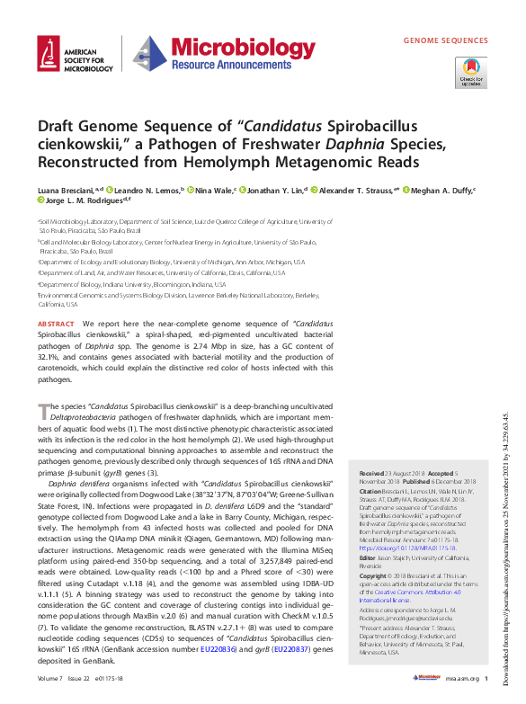 (PDF) Draft Genome Sequence of “ Candidatus Spirobacillus cienkowskii ...