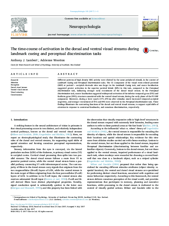 (PDF) The time-course of activation in the dorsal and ventral visual ...
