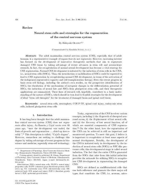 (PDF) Neural stem cells and strategies for the regeneration of the ...