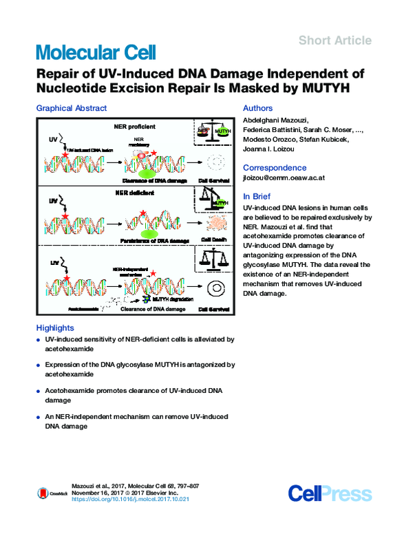 (PDF) Repair of UV-Induced DNA Damage Independent of Nucleotide ...