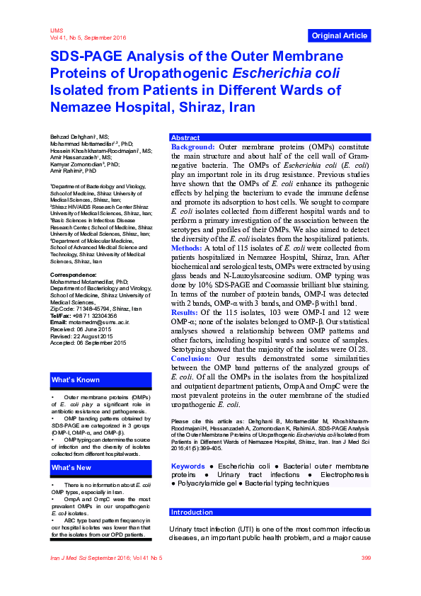 (PDF) SDS-PAGE Analysis of the Outer Membrane Proteins of Uropathogenic ...