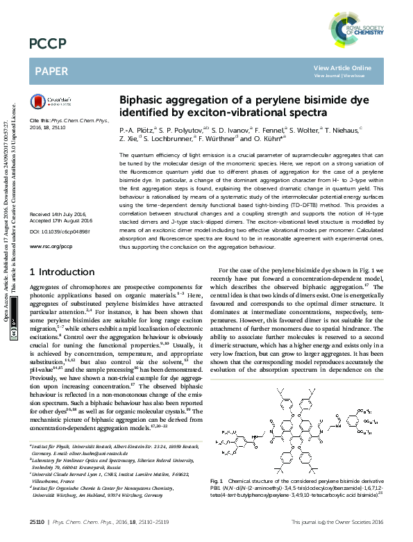 (PDF) Biphasic aggregation of a perylene bisimide dye identified by ...