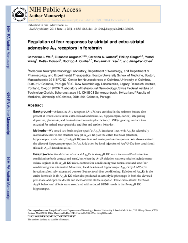 (PDF) Regulation of Fear Responses by Striatal and Extrastriatal ...