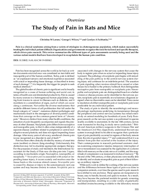 (PDF) The Study of Pain in Rats and Mice