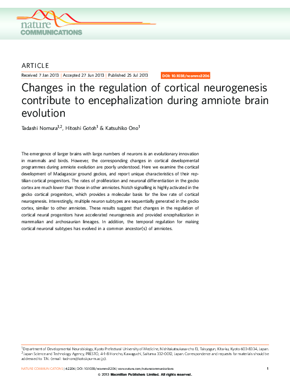 (PDF) Changes in the regulation of cortical neurogenesis contribute to ...