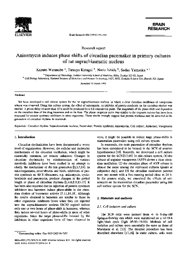 Anisomycin induces phase shifts of circadian pacemaker in primary cultures of rat suprachiasmatic nucleus