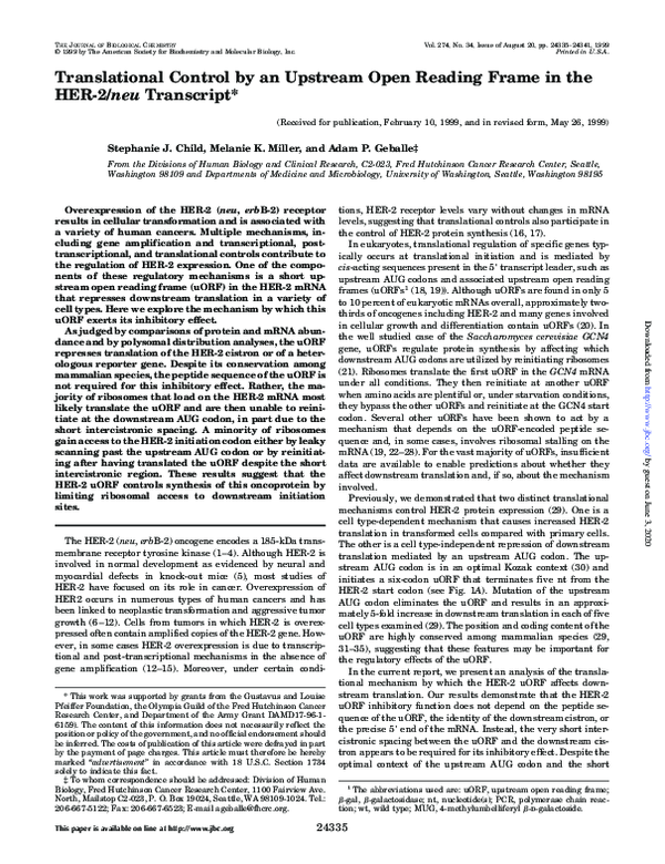 (PDF) Translational Control by an Upstream Open Reading Frame in the ...