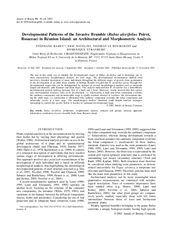 (PDF) Developmental Patterns of the Invasive Bramble (Rubus alceifolius ...