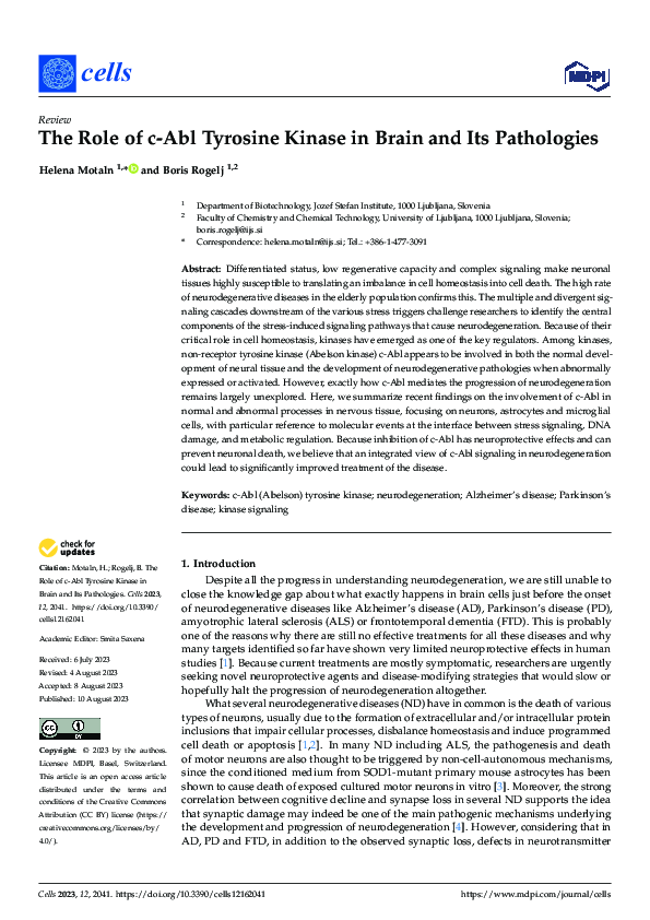 (PDF) The Role of c-Abl Tyrosine Kinase in Brain and Its Pathologies