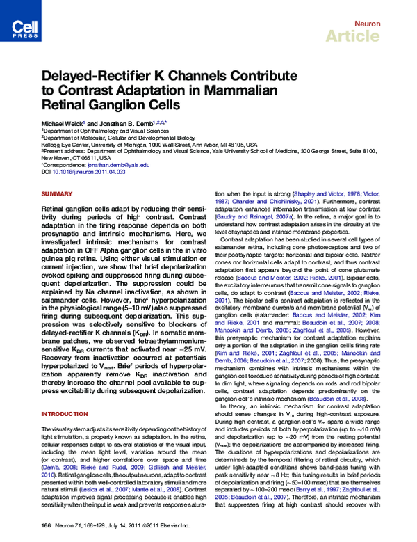 (PDF) Delayed-rectifier K channels contribute to contrast adaptation in ...