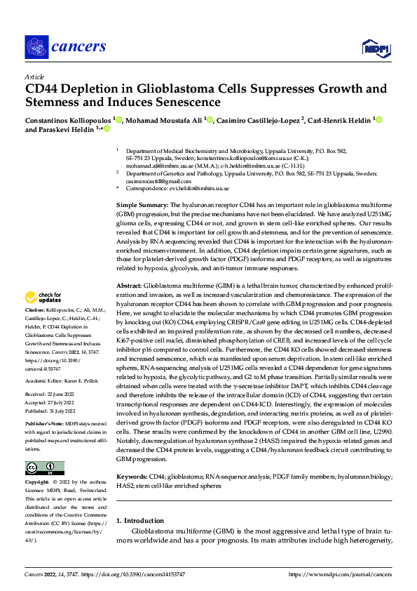 (PDF) CD44 Depletion in Glioblastoma Cells Suppresses Growth and ...