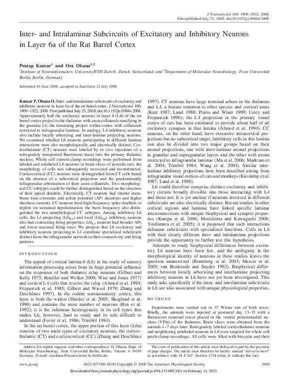 (PDF) Comparison With Pyramidal and Spiny Stellate Neurons ...