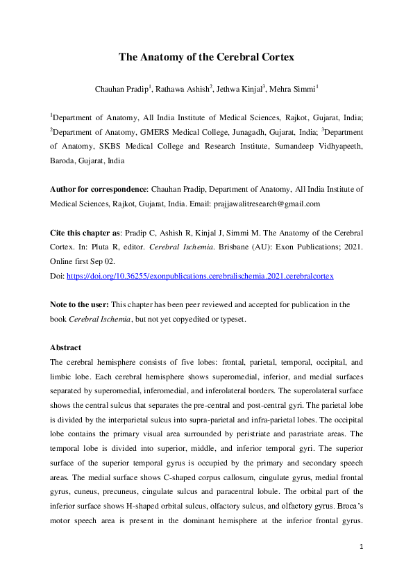(PDF) The Anatomy of the Cerebral Cortex