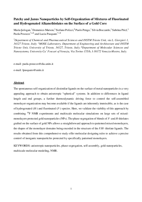 (PDF) Patchy and Janus Nanoparticles by Self-Organization of Mixtures ...