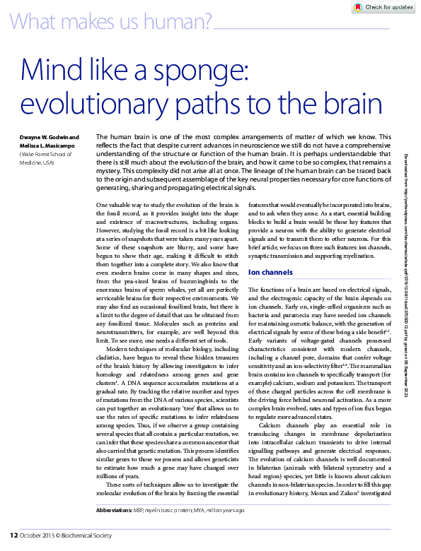 (PDF) Mind like a sponge evolutionary paths to the brain Dwayne