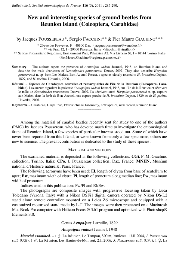 (PDF) New and interesting species of ground beetles from Reunion Island ...