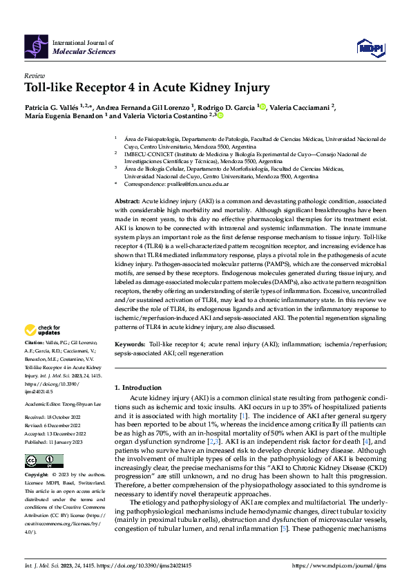 (PDF) Toll-like Receptor 4 in Acute Kidney Injury | Patricia Vallés ...