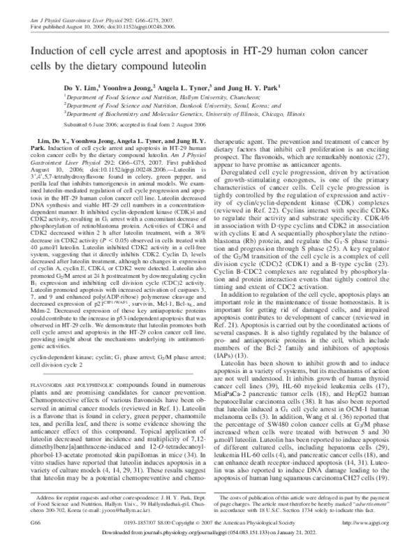 (PDF) Induction of cell cycle arrest and apoptosis in HT-29 human colon ...