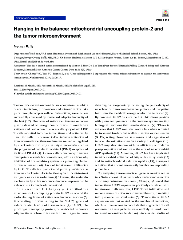 (PDF) Hanging in the balance: mitochondrial uncoupling protein-2 and ...