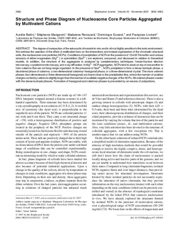(PDF) Structure and Phase Diagram of Nucleosome Core Particles ...
